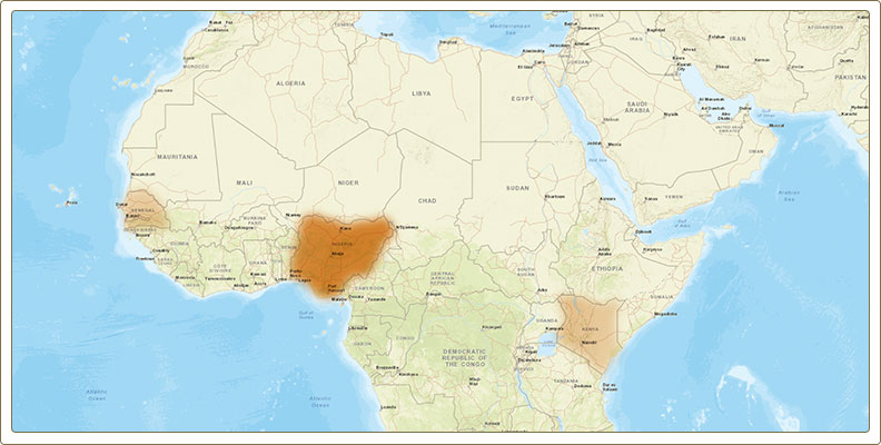 GPSOriginsLogoTag Genetic Testing For Ancestry With GPS Origins