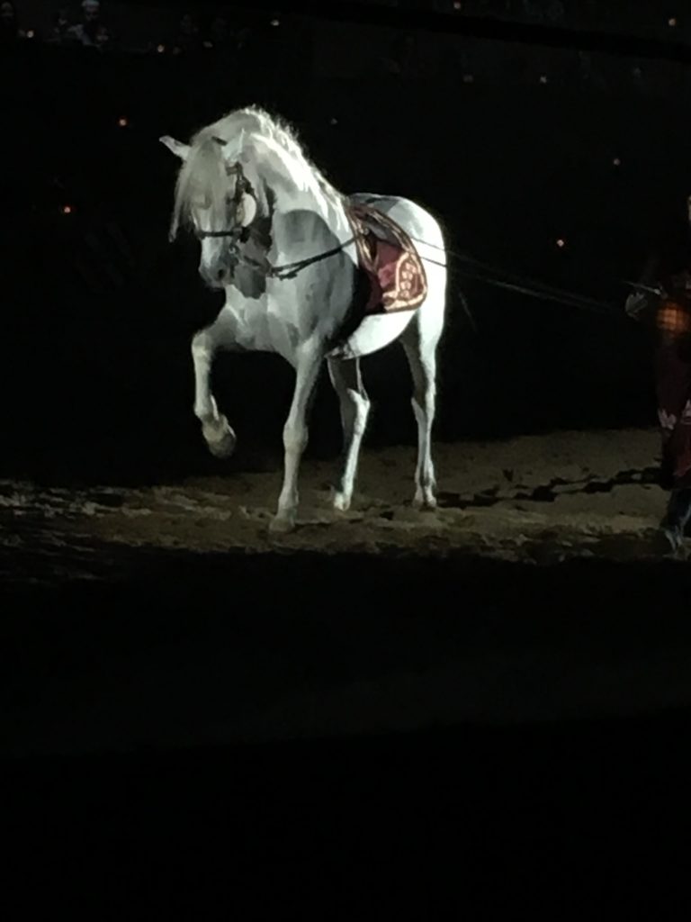 Medieval-Times-Horse-768x1024 Medieval Times Dinner Tournament - Family Fun At It's Best