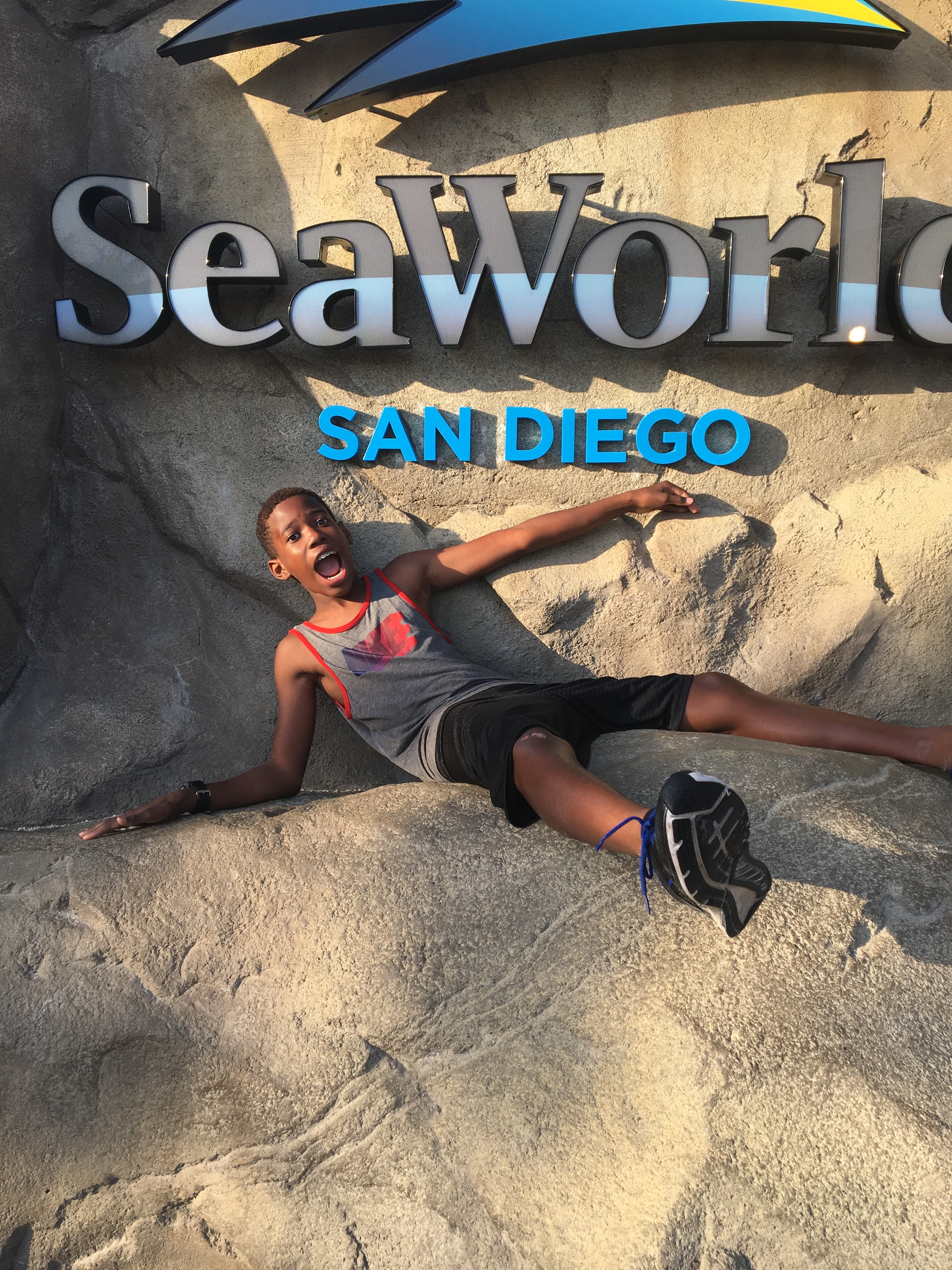 Things To Do In SeaWorld San Diego